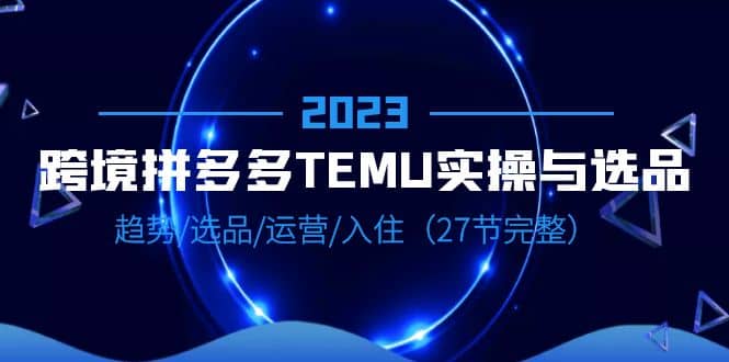 2023跨境·拼多多·TEMU实操与选品，趋势·选品·运营·入住（27节完整）-大米舅